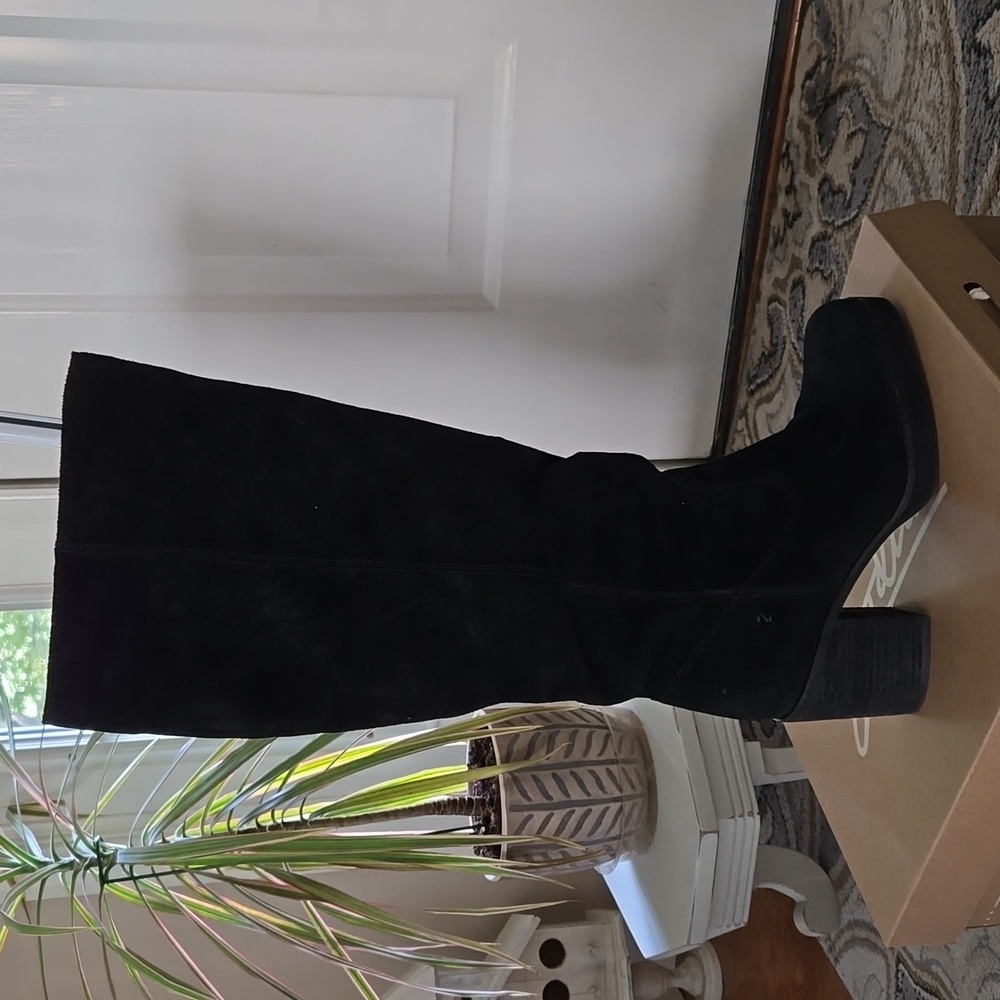 Zodiac Heeled Black Suede Boots